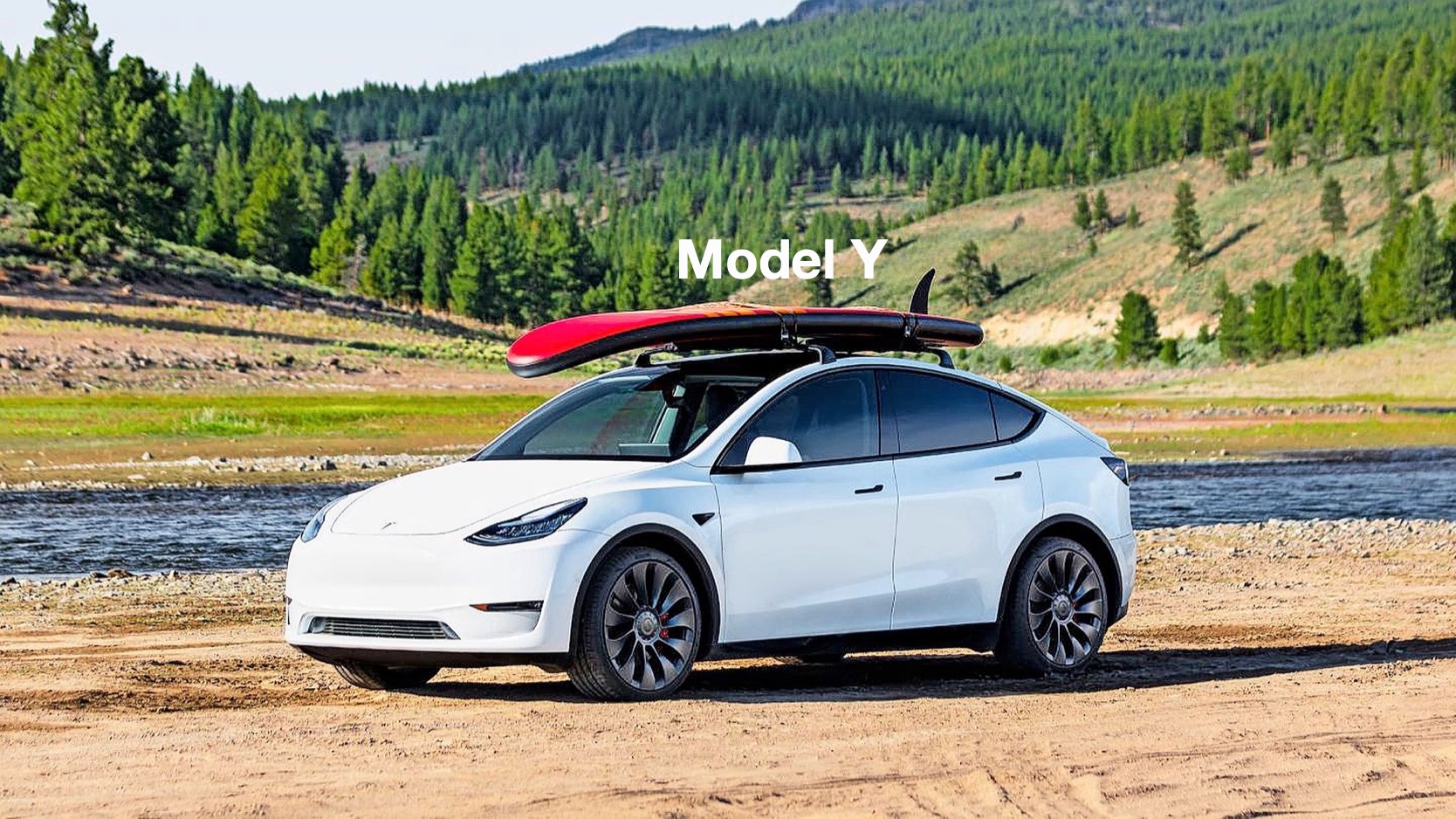 Weißes Tesla ModelY in einem Wald